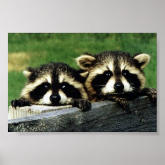 Poster regardez-vous