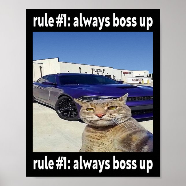 Poster Règle # 1 Toujours Boss Up Funny Cat Meme (Devant)