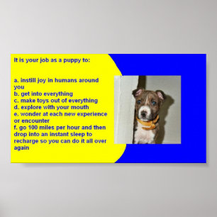 POSTER RÈGLES DE PUPPY