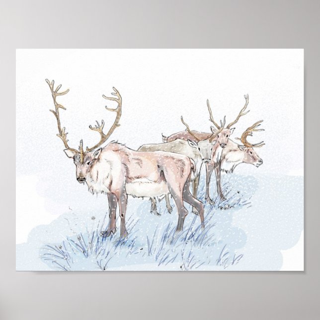 Poster Reindeer dans l'impression neige (Devant)