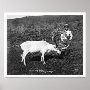 Poster Reindeer & Eskimo Alaska 1920