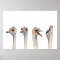 Reine du théâtre | Drôle Ostrich Aquarelle Peintur