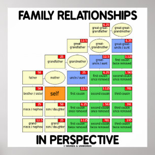 Poster Relations Familiales En Perspective (Réunion)