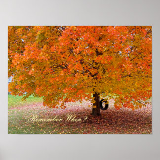 Poster Remember When?