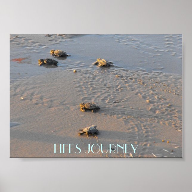 Poster remontées mécaniques voyage tortues de mer (Devant)