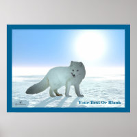 Renard arctique