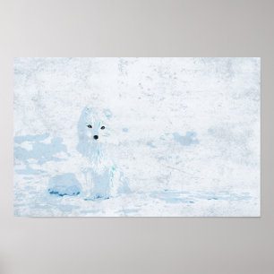 Poster Renard arctique sur la glace blanche illustration