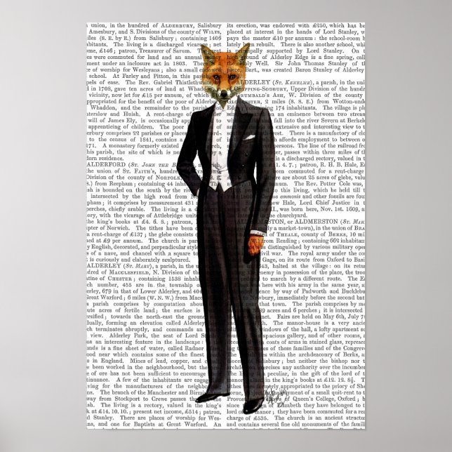 Poster Renard En Costume De Soirée Complet (Devant)