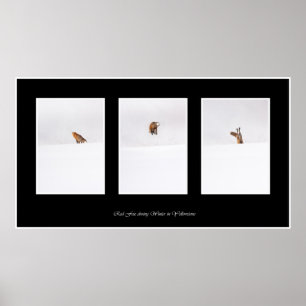 Poster Renard rouge