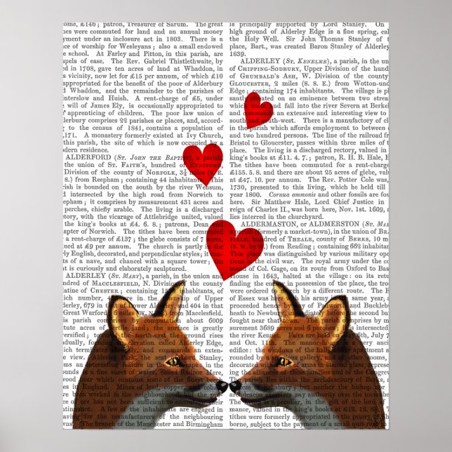 Poster Renards amoureux (Devant)