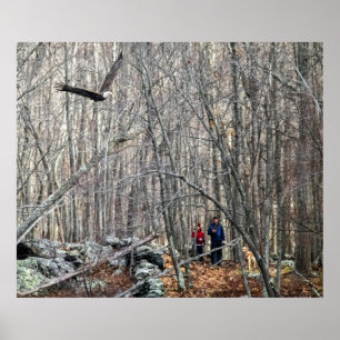 Poster Rencontre de l'aigle à tête blanche