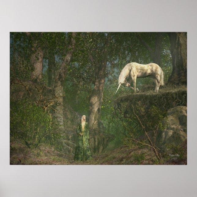 Poster Rencontre Woodland (Devant)