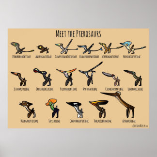 Poster Rencontrez les terosaures