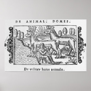 Poster Rennes à lait