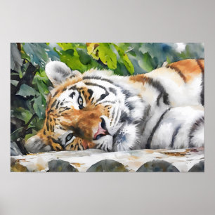 Poster Repose du portrait de tigre