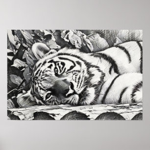 Poster Repose du portrait de tigre