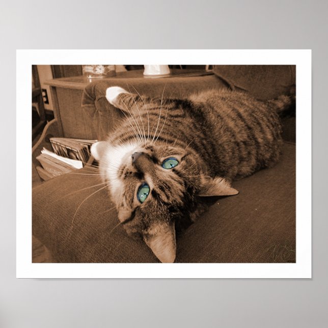 Poster Reposer dans Twill (Devant)