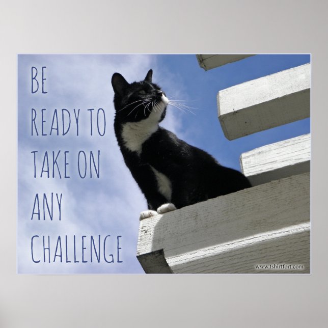 Poster Reprendre la Motivation Mondiale des Chats Mets (Devant)