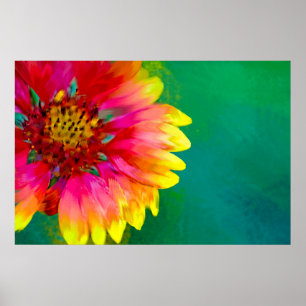 Poster Représentation artistique de la fleur Indian Blank