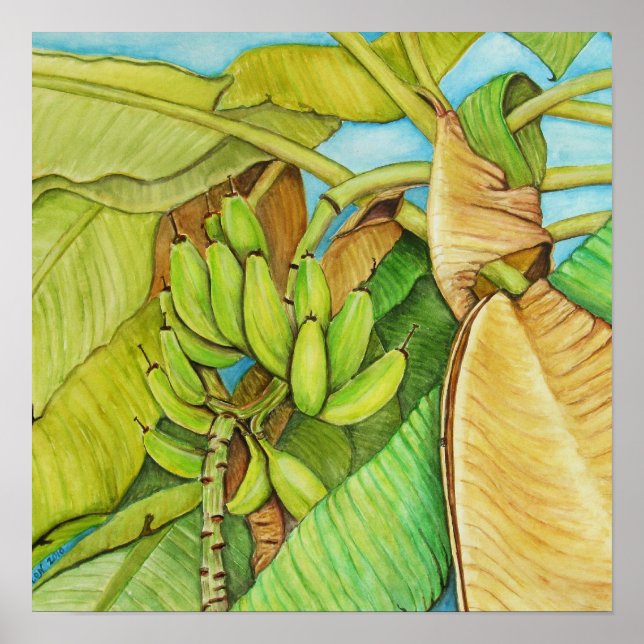 Poster reproduction de bananiers par peinture (Devant)
