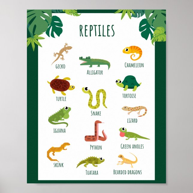 Poster Reptiles Éducation scolaire Apprentissage (Devant)