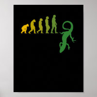 Reptiles Lizard Evolution