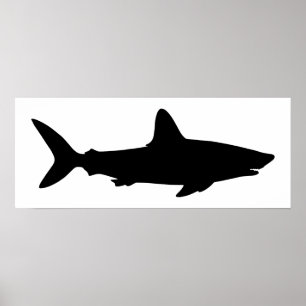 Poster Requin blanc et noir