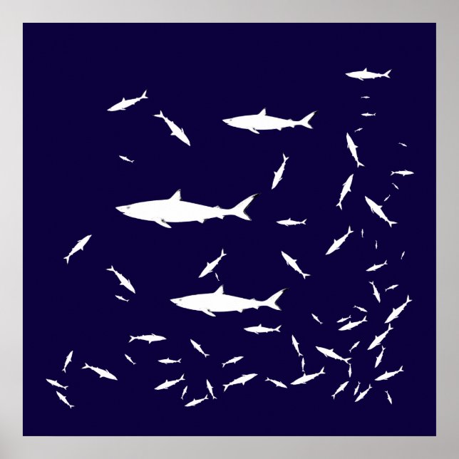 Poster requin bleu (Devant)