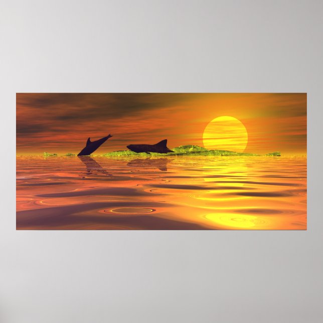 Poster Requin dauphin le jeu de la vie (Devant)