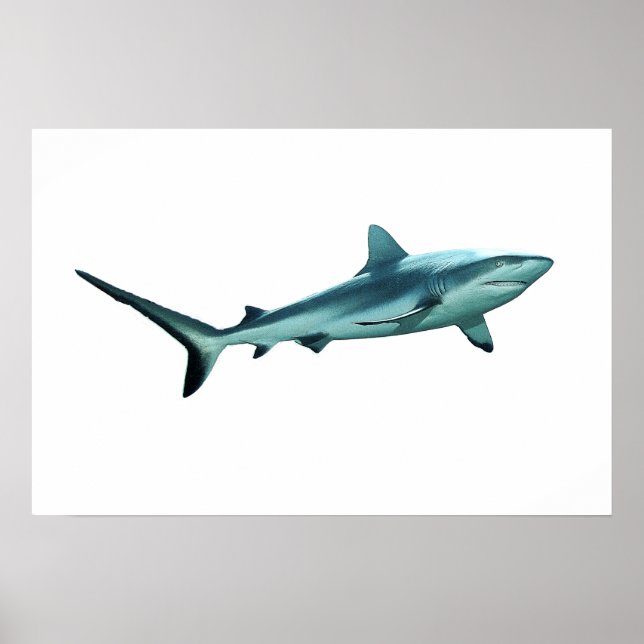 Poster Requin de récif - Design abstrait - Découpé d'une  (Devant)
