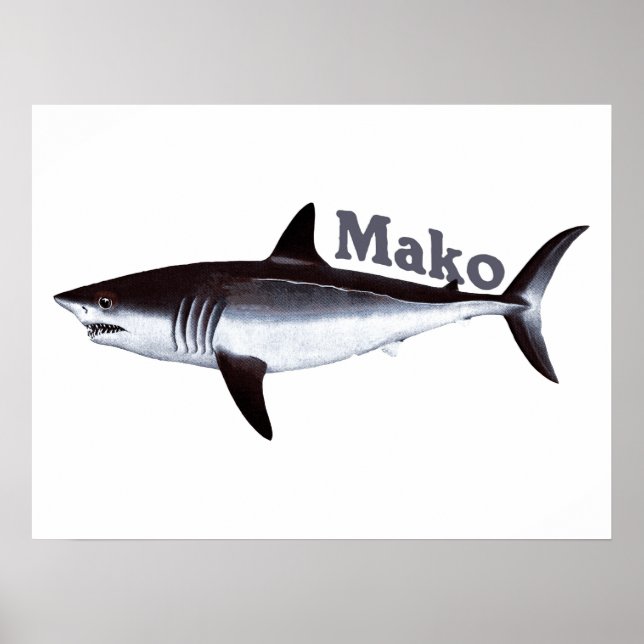 Poster requin Mako vintage (Devant)