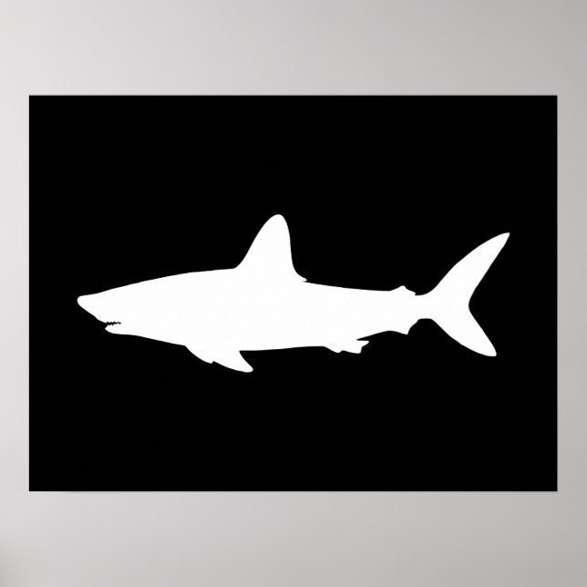 Poster Requin qui Nage (Devant)