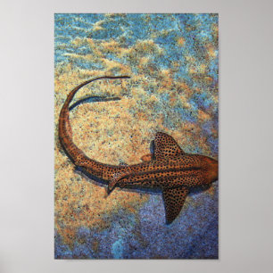 Poster Requin zèbre coloré