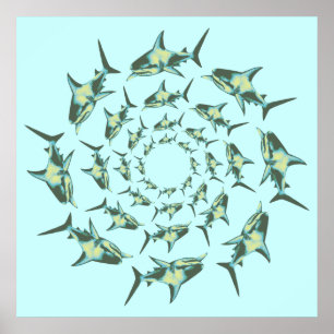 Poster requins nageant en cercles