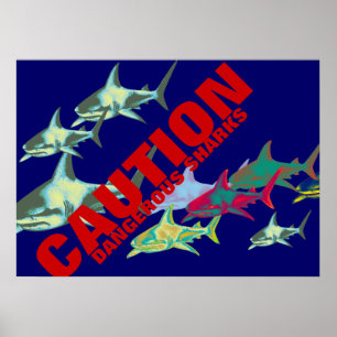Poster requins, prudence, dangereux