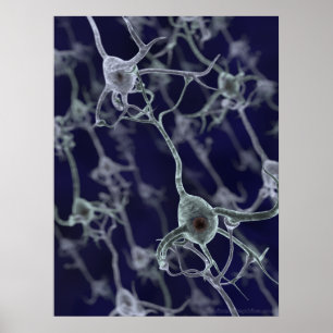 Poster Réseau neuronal
