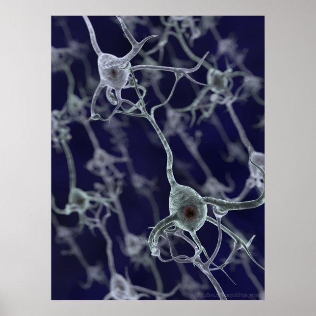 Poster Réseau neuronal (Devant)