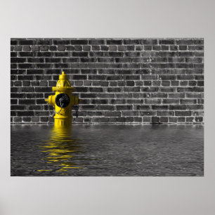 Poster Réseaux d'eau no 1