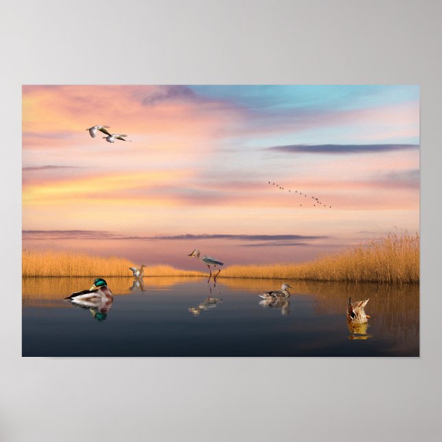 Poster Réserve de faune (Devant)