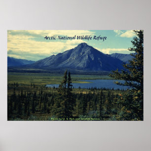 Poster / Réserve faunique nationale de l'Arctique
