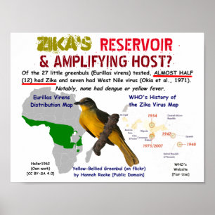 Poster Réservoir de Zika et hôte amplificateur par RoseWr