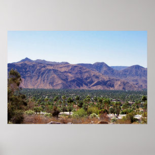 Poster ressorts de palmiers