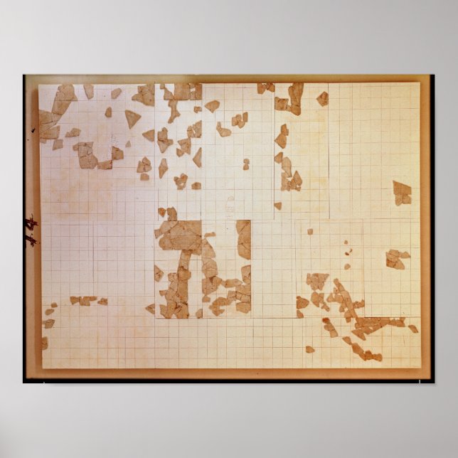 Poster Reste d'un cadastre (Devant)