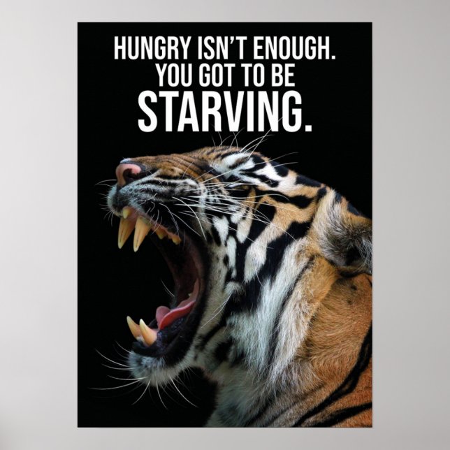 Poster Restez affamé, affamé - tigre, succès, entraînemen (Devant)