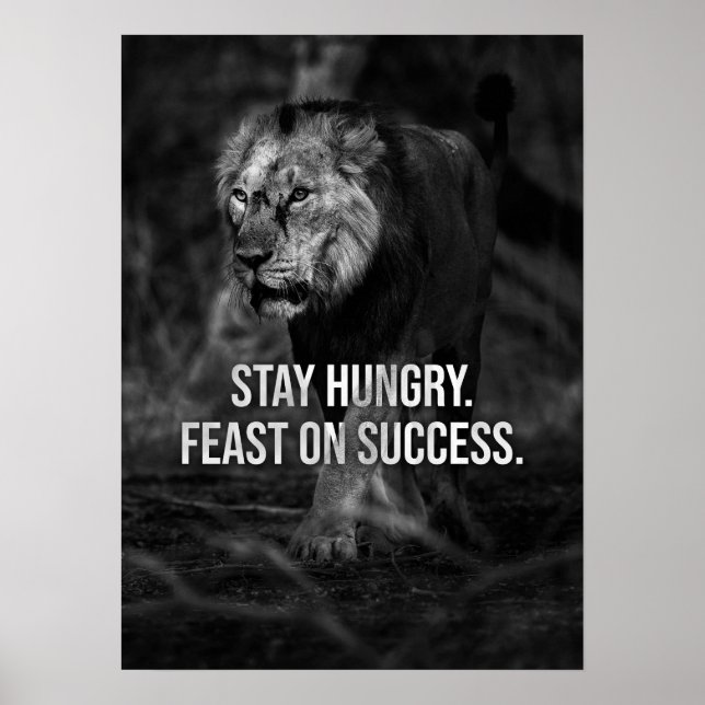 Poster Restez Faim, Fête Du Succès, Lion - Motivation (Devant)