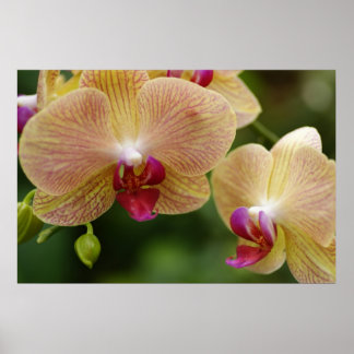 Poster Restons ensemble.