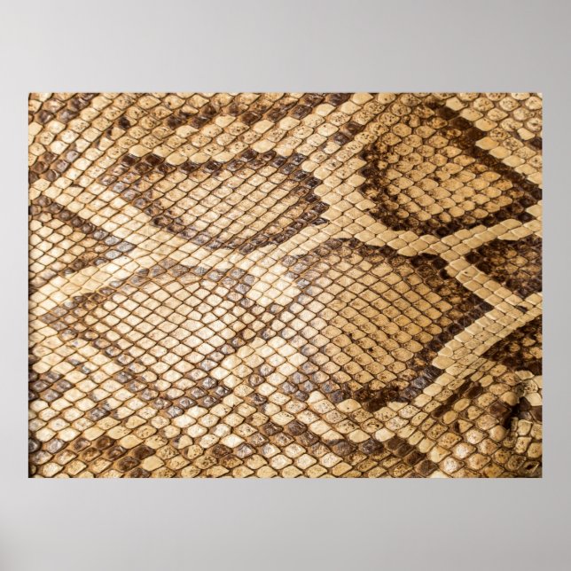 Poster Reticulated python skinpython, skin, snake, réticu (Devant)