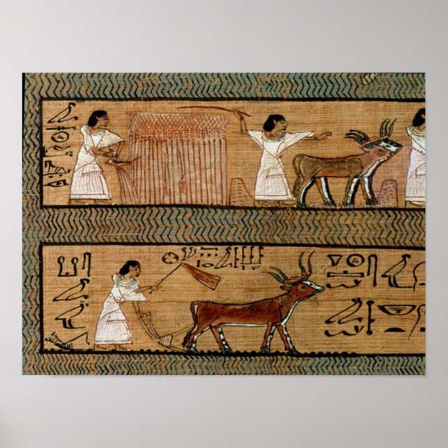 Poster Retirer et labourer, détailler une représentation (Devant)