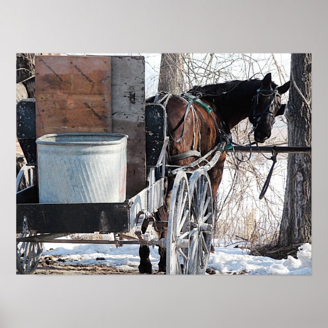 Poster Retour (Devant)