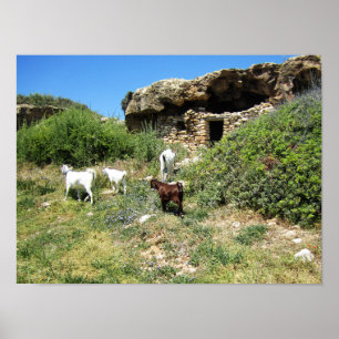 Poster Retraite des chèvres